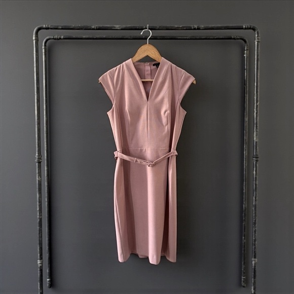 NWT Ann Taylor Pink Sleeveless Dress! Size 4P! NEW! - Picture 2 of 6